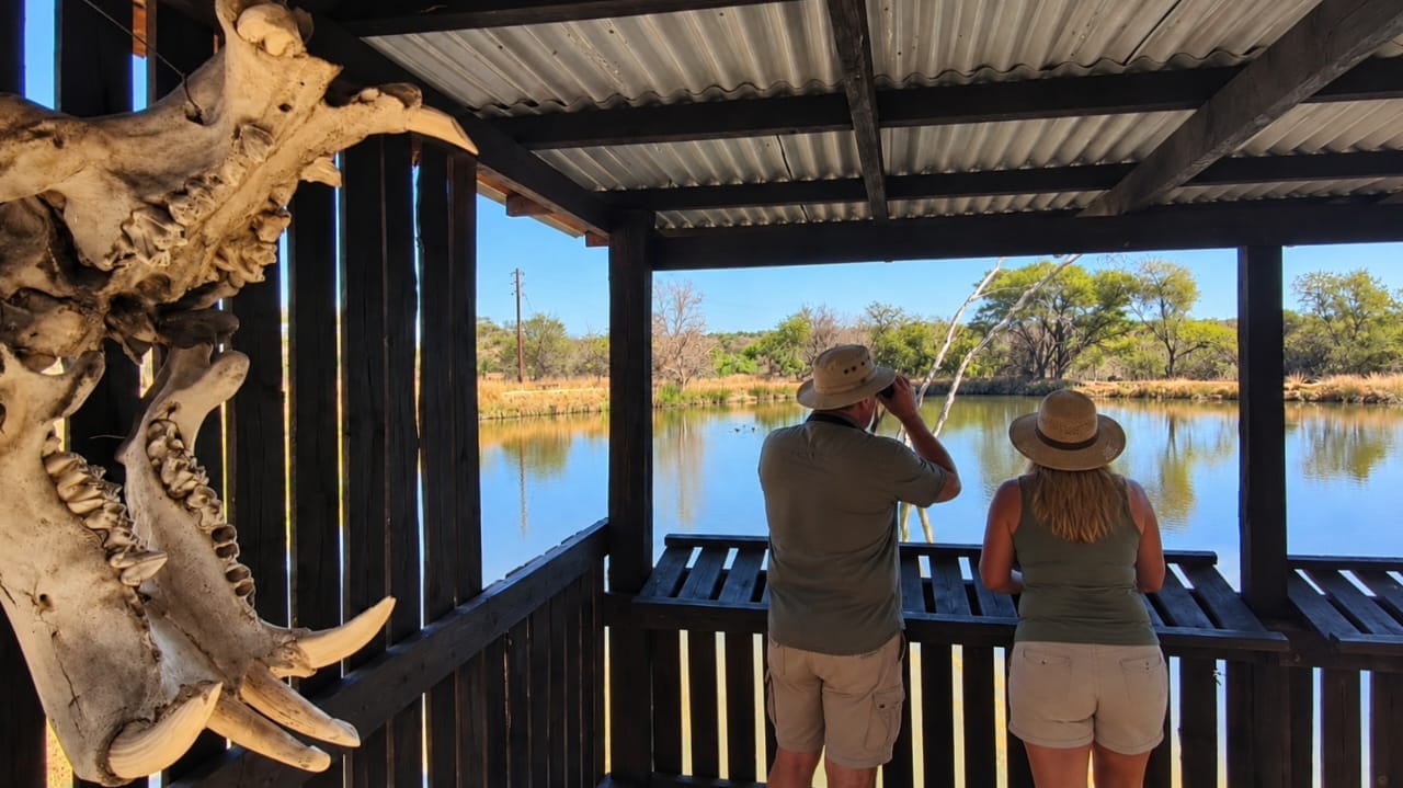 Bird hide at Uitvlugt Resort